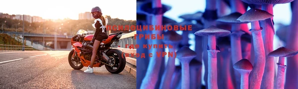 СК Михайлов