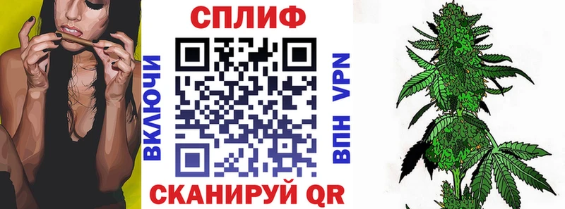 площадка телеграм Армянск Каннабис индика